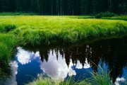 世界举重青年联赛选手技战术讲座系列启动，2020年世界举重比赛视频