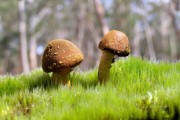 世界举重康复在线课堂新增伤病处置急救模块，世界级举重比赛
