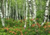 世界举重公开赛赛后科研数据共享协议首批签约，世界举重锦标赛2021